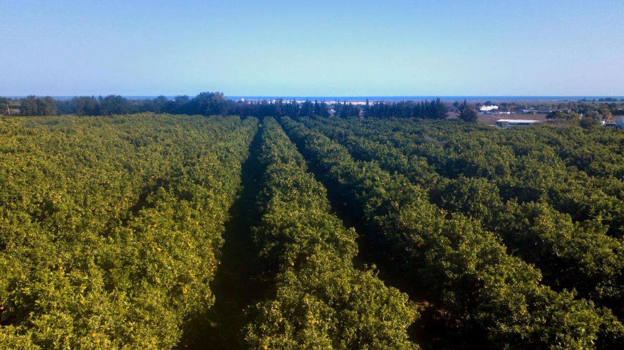 タヴィラ Quinta Da Pintassilgaヴィラ エクステリア 写真
